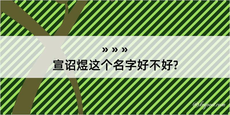 宣诏煜这个名字好不好?