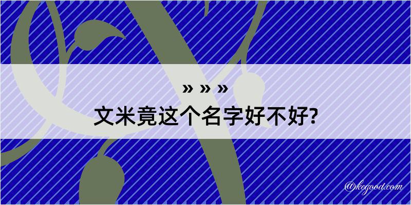 文米竟这个名字好不好?