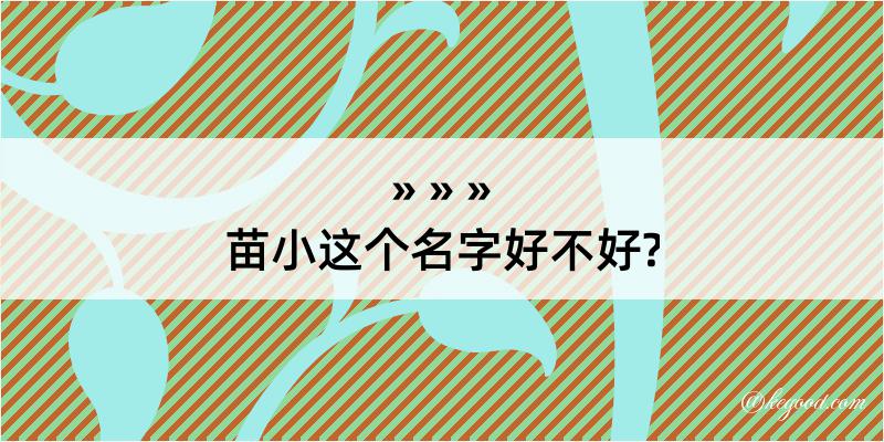 苗小这个名字好不好?