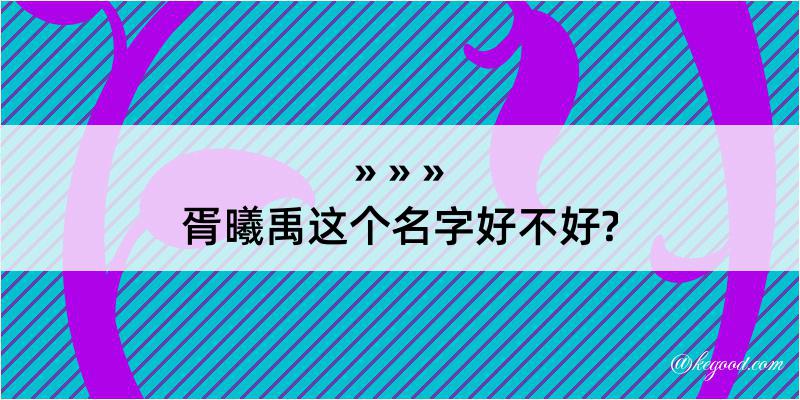 胥曦禹这个名字好不好?