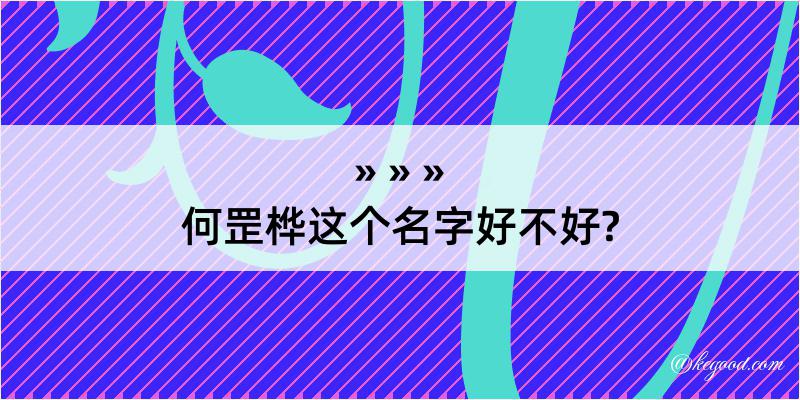 何罡桦这个名字好不好?