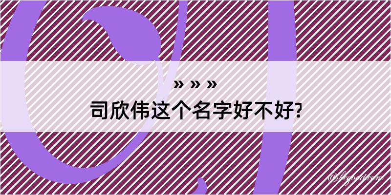 司欣伟这个名字好不好?