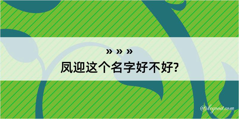 凤迎这个名字好不好?