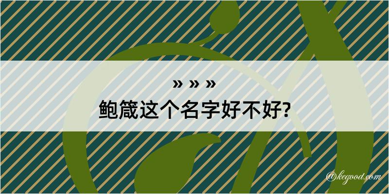 鲍箴这个名字好不好?