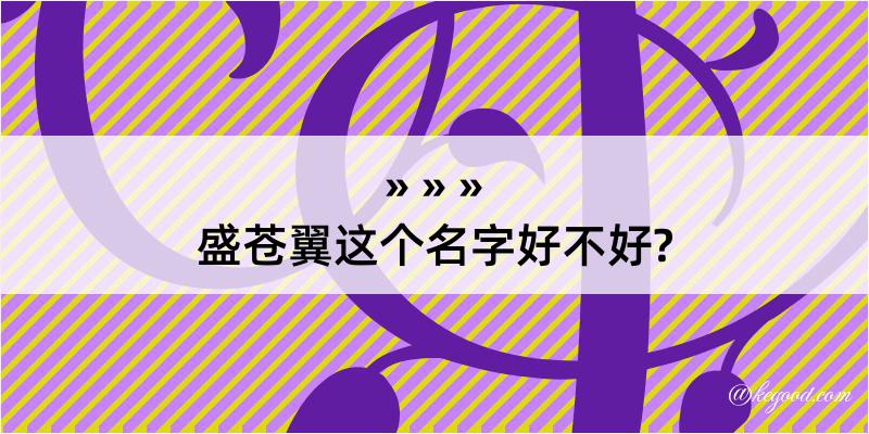 盛苍翼这个名字好不好?