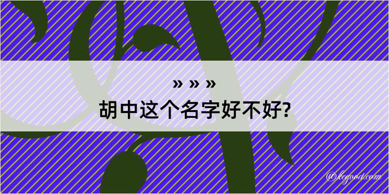 胡中这个名字好不好?