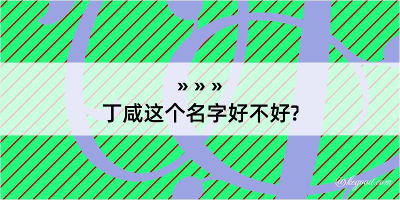 丁咸这个名字好不好?