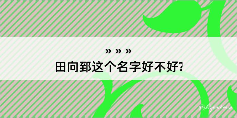 田向郅这个名字好不好?