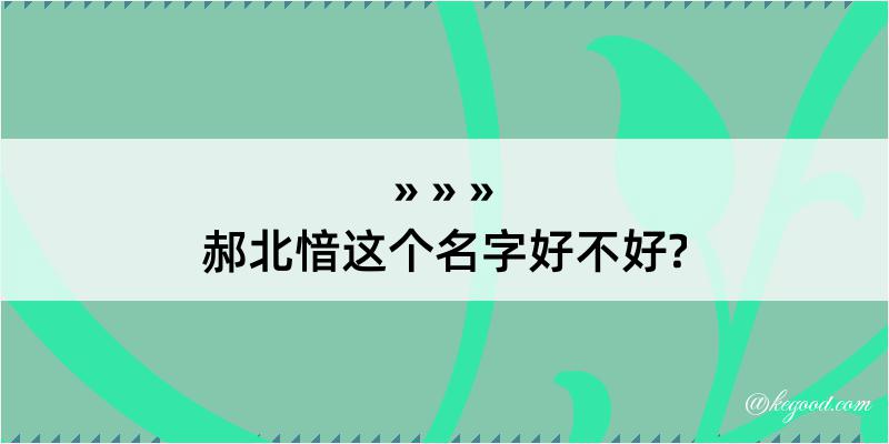 郝北愔这个名字好不好?