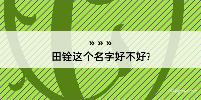 田铨这个名字好不好?