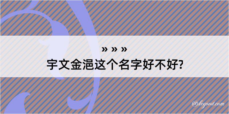 宇文金浥这个名字好不好?