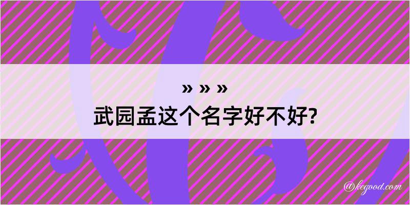 武园孟这个名字好不好?