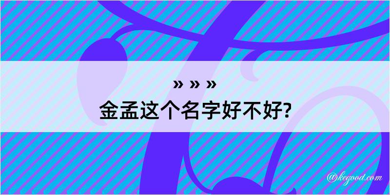 金孟这个名字好不好?