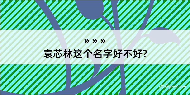 袁芯林这个名字好不好?