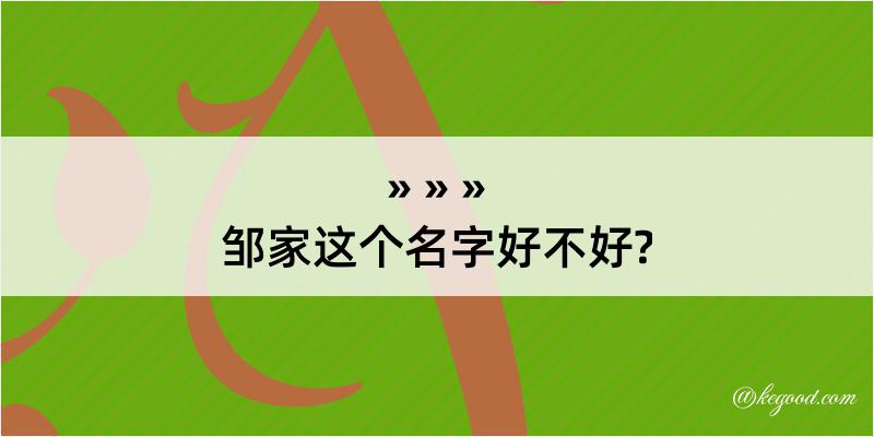 邹家这个名字好不好?