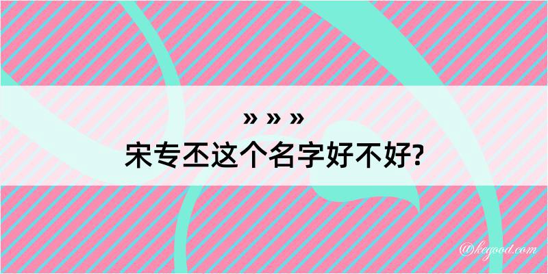 宋专丕这个名字好不好?