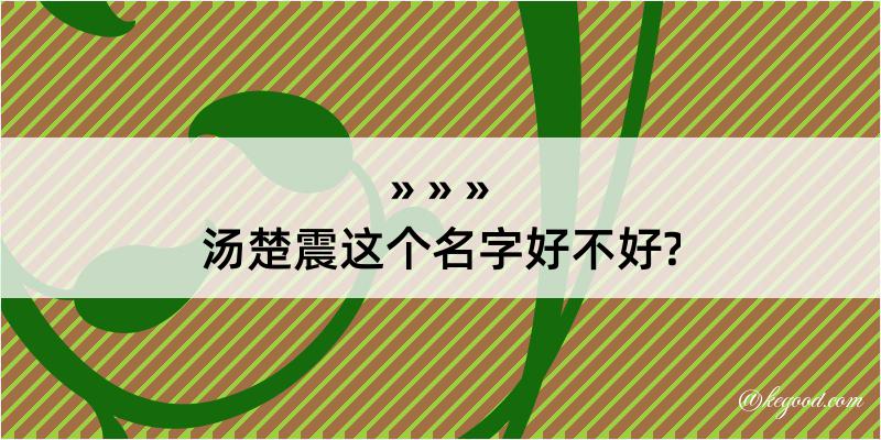 汤楚震这个名字好不好?