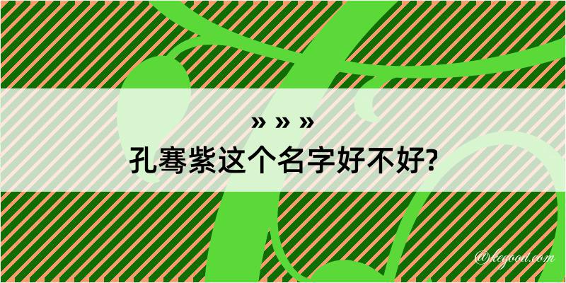 孔骞紫这个名字好不好?