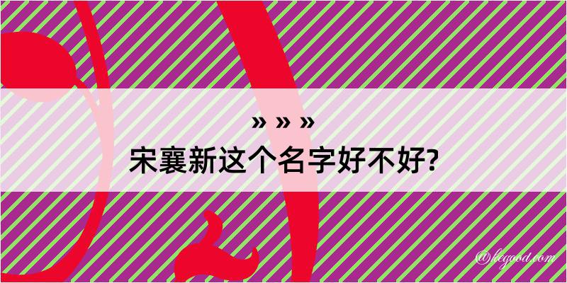 宋襄新这个名字好不好?