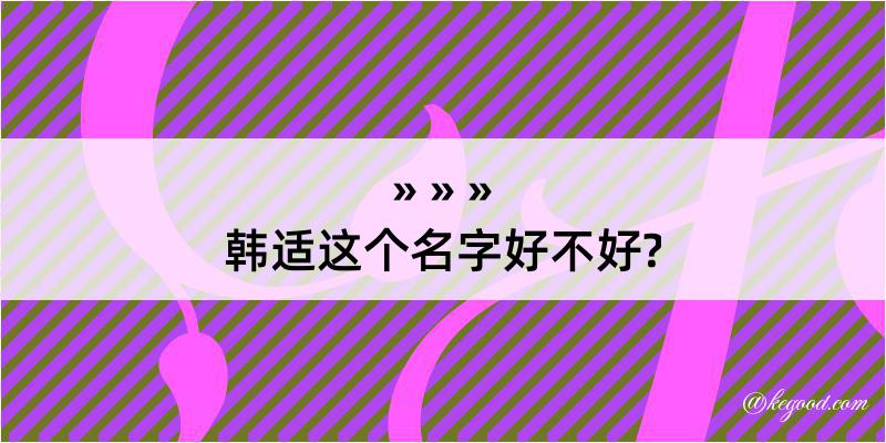 韩适这个名字好不好?