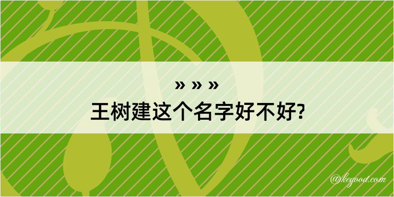 王树建这个名字好不好?