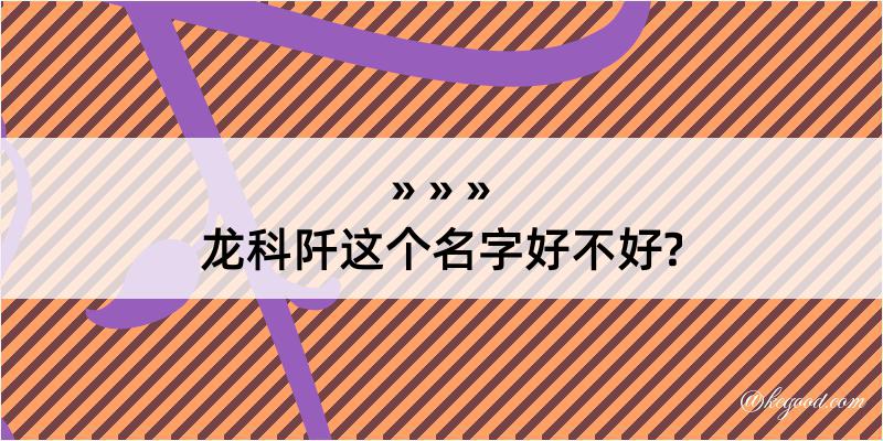 龙科阡这个名字好不好?