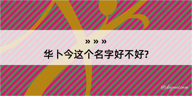 华卜今这个名字好不好?