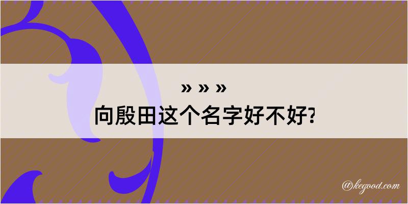 向殷田这个名字好不好?