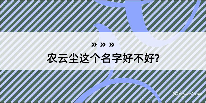 农云尘这个名字好不好?