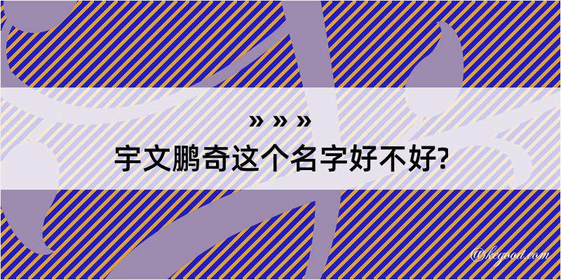 宇文鹏奇这个名字好不好?