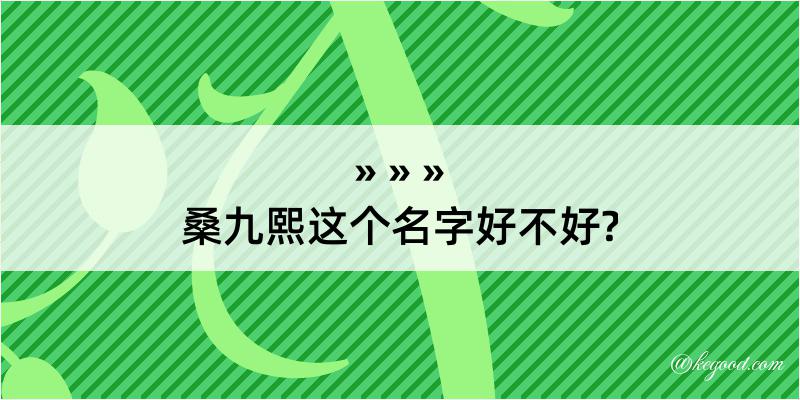 桑九熙这个名字好不好?