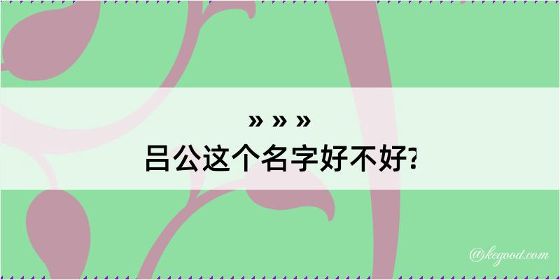 吕公这个名字好不好?