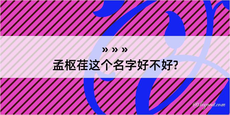 孟枢荏这个名字好不好?