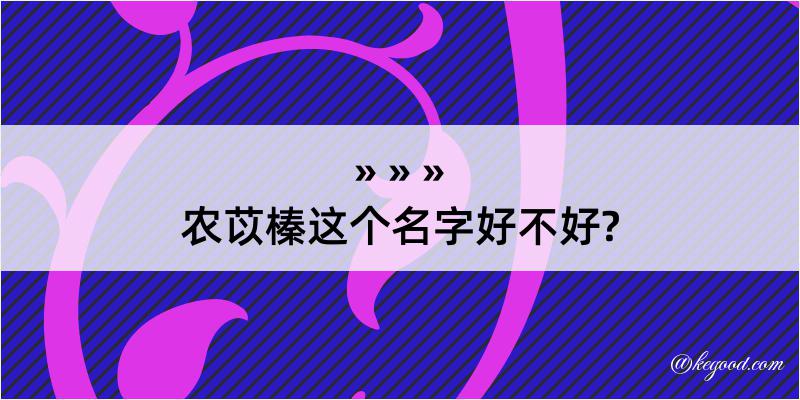 农苡榛这个名字好不好?