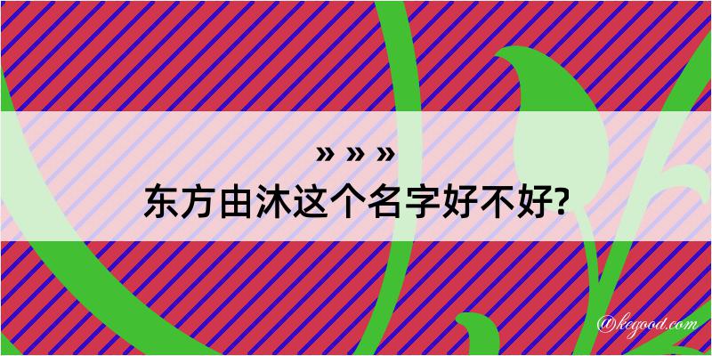 东方由沐这个名字好不好?