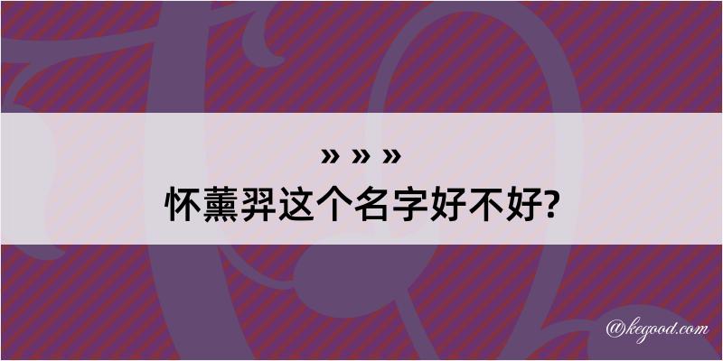 怀薰羿这个名字好不好?