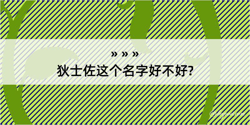 狄士佐这个名字好不好?