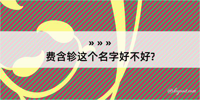 费含轸这个名字好不好?