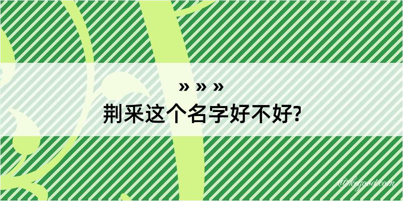 荆釆这个名字好不好?