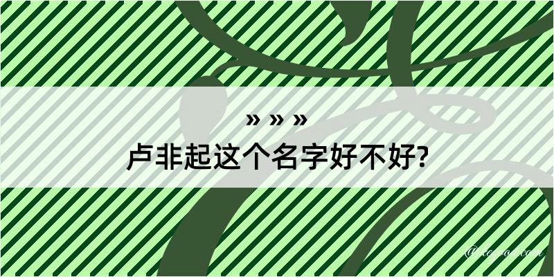 卢非起这个名字好不好?