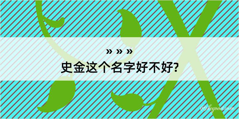 史金这个名字好不好?