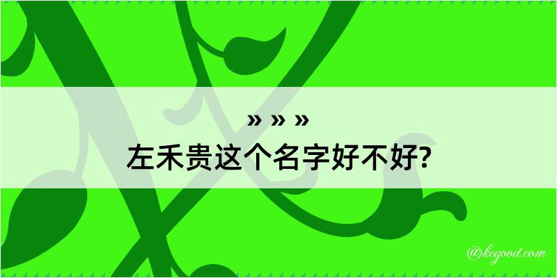 左禾贵这个名字好不好?