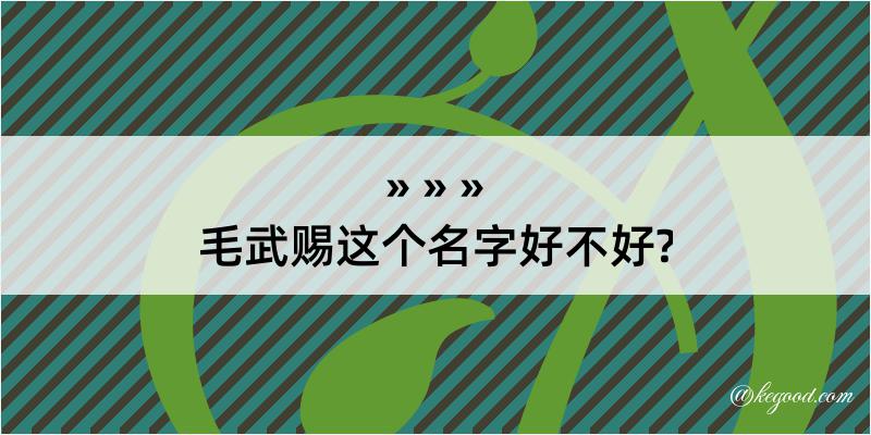 毛武赐这个名字好不好?