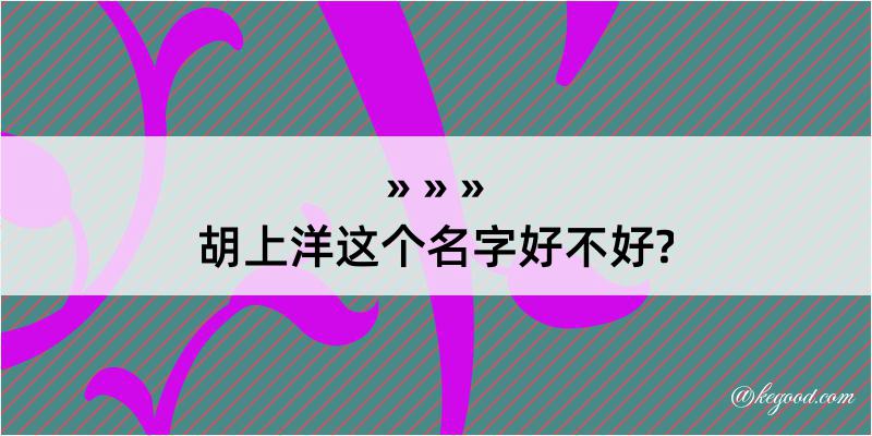 胡上洋这个名字好不好?