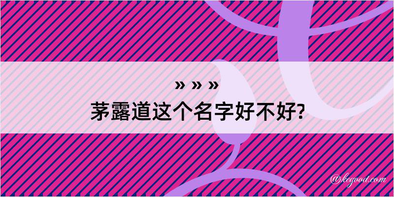 茅露道这个名字好不好?