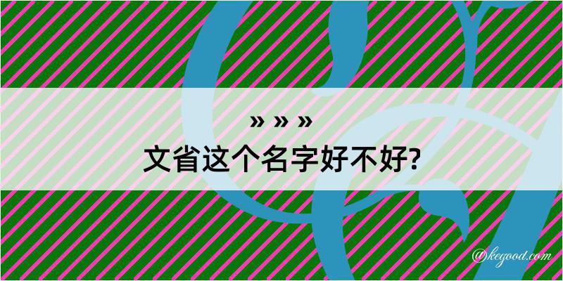 文省这个名字好不好?