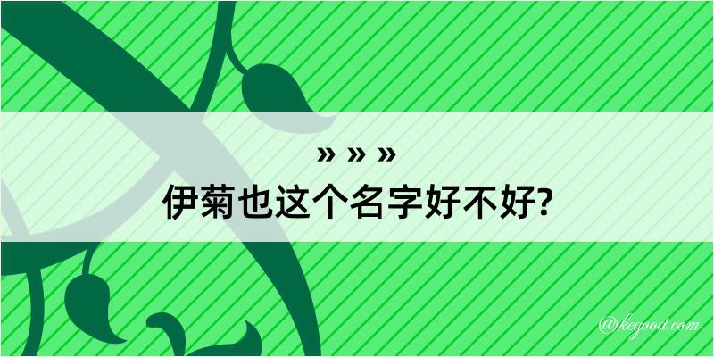 伊菊也这个名字好不好?