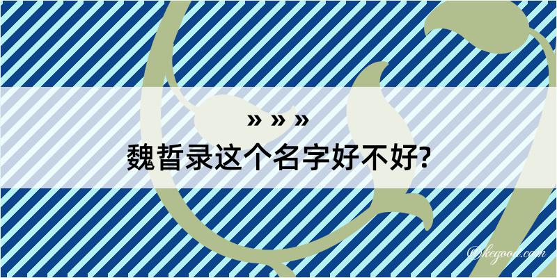 魏晢录这个名字好不好?