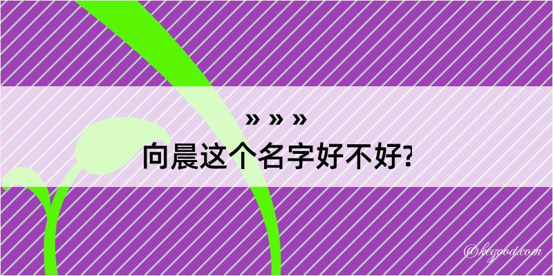 向晨这个名字好不好?