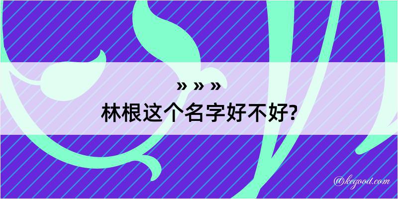 林根这个名字好不好?